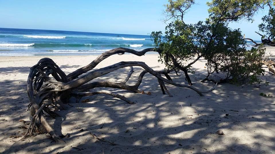 Апартаменты Plumita Pacifica Playa Junquillal Экстерьер фото